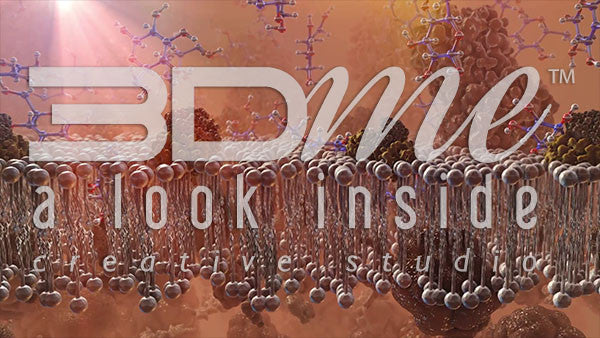 Glucose, fats and insulin receptors (DOF)