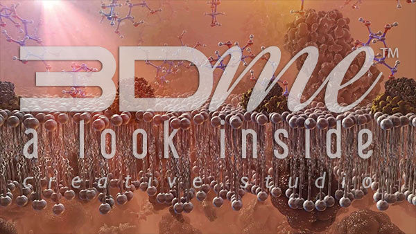 Glucose, fats and insulin receptors