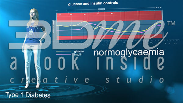 Graph glucose insulin normoglycaemia