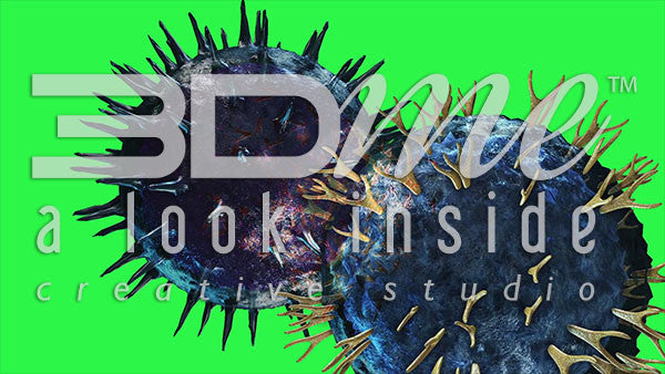 Helper T-Cell and B-Cell (greenscreen)