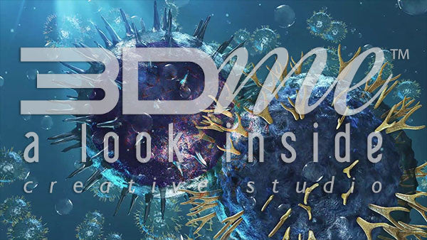 Helper T-Cell and B-Cell (no DOF)