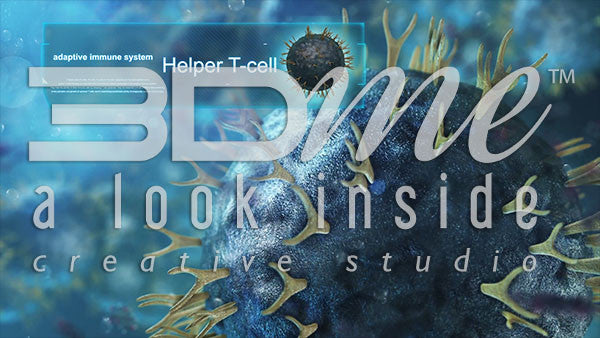 Helper T-Cell (no titles)