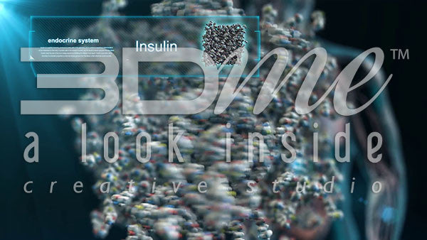 Insulin Intake