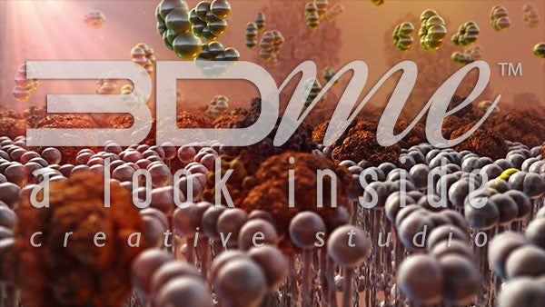 Insulin Resistance 2 (DOF)