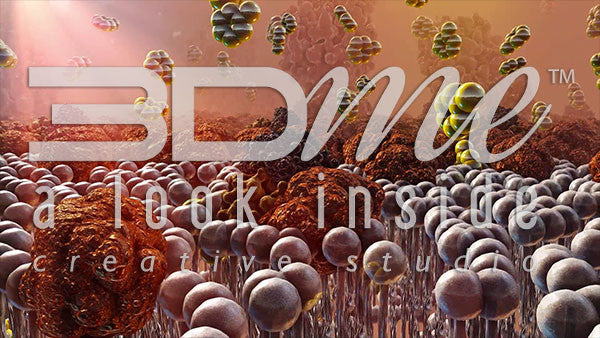 Insulin Resistance 2