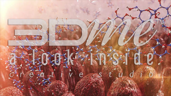 Intestine Villi and Carbohydrates