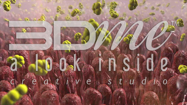 Intestine Villi zoomin