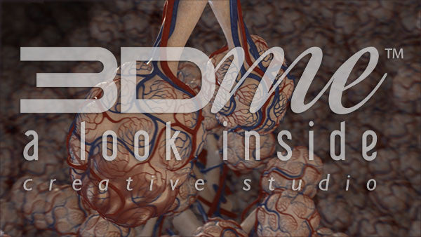 Into Lungs Inflammation