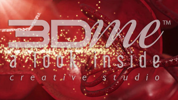 Kidneys and Glomeruli