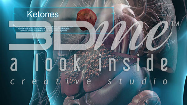 Liver and Ketones (with title graphic)