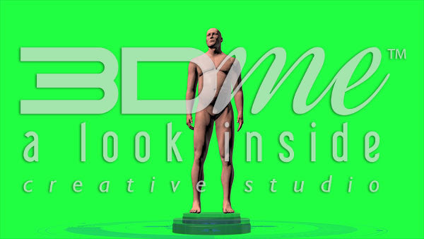 Human Male Gaining Weight (greenscreen)