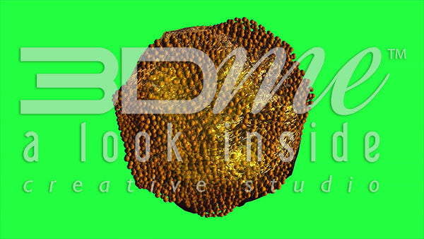 Protein Enzyme Spin Greenscreen