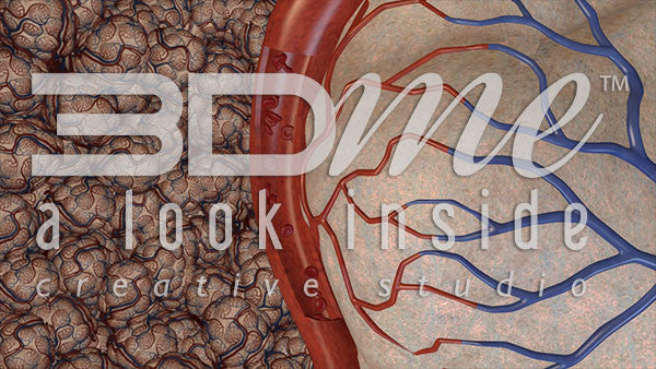 Reduced Oxygen Transition